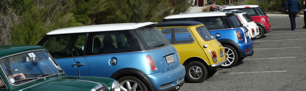 Minis In Nelson INC